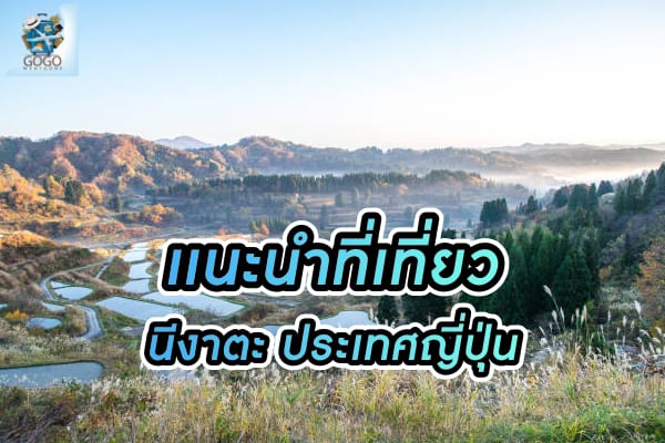 จังหวัด นีงาตะ Niigata จากชนบทร้างสู่เมืองแห่งศิลปะที่คุณต้องไปเยือน